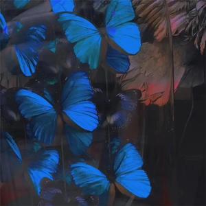 小黄书最新在线网站入口
